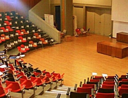 Organisation and participation in a scientific conference